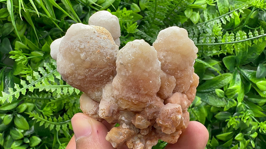 Dimitrovgrad Aragonite Cluster, Bulgaria, Natural Mineral Specimen