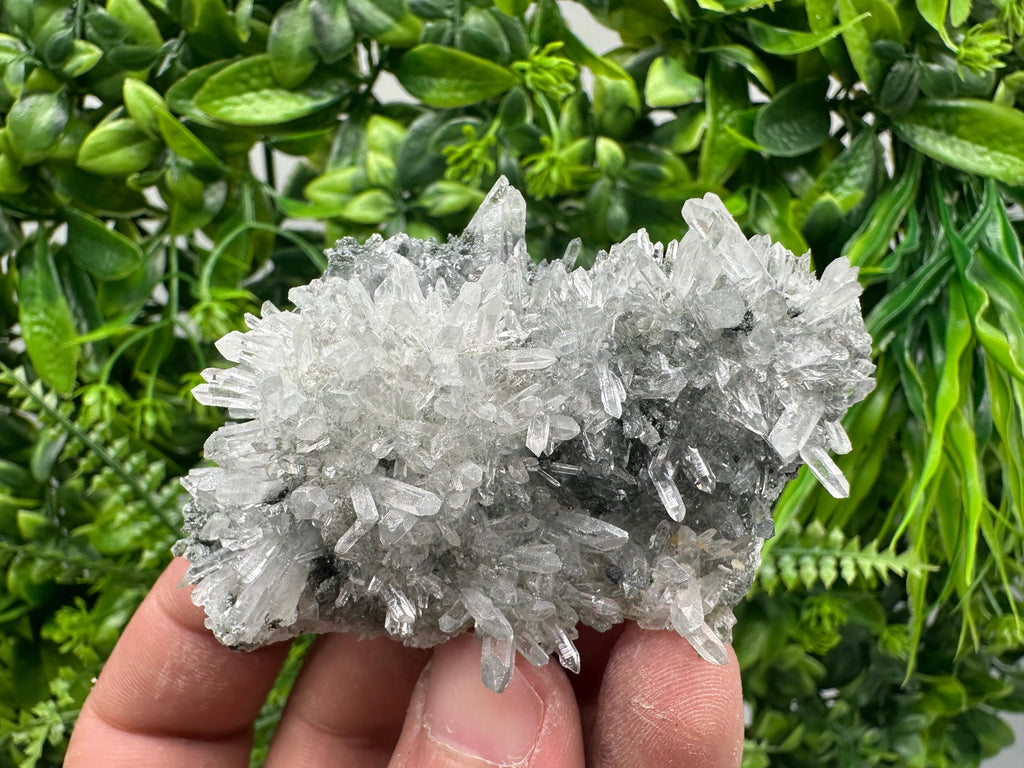 Transparent Quartz on Chlorite Matrix, Bulgaria Mineral Specimen