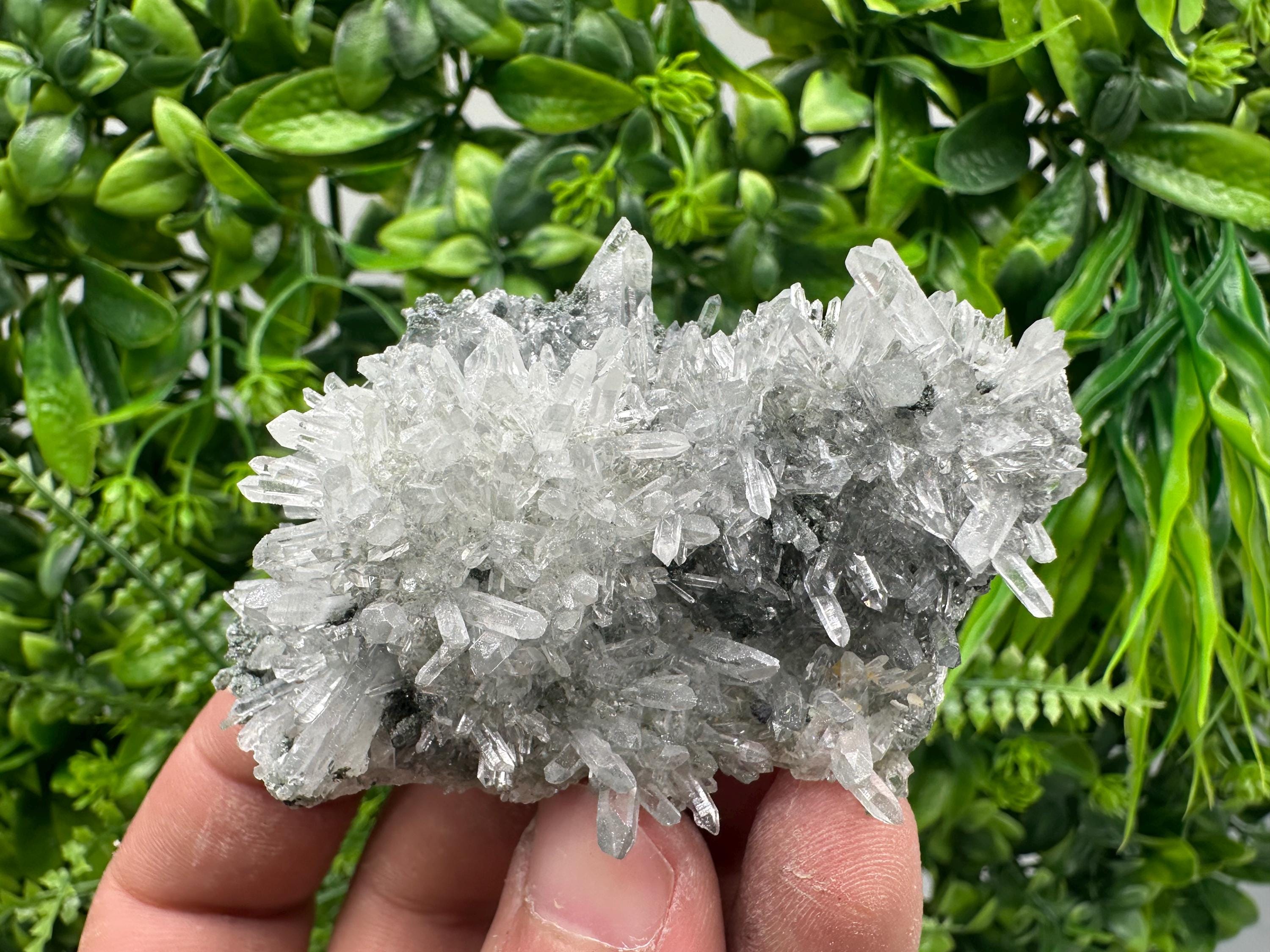 Transparent Quartz on Chlorite Matrix, Bulgaria Mineral Specimen