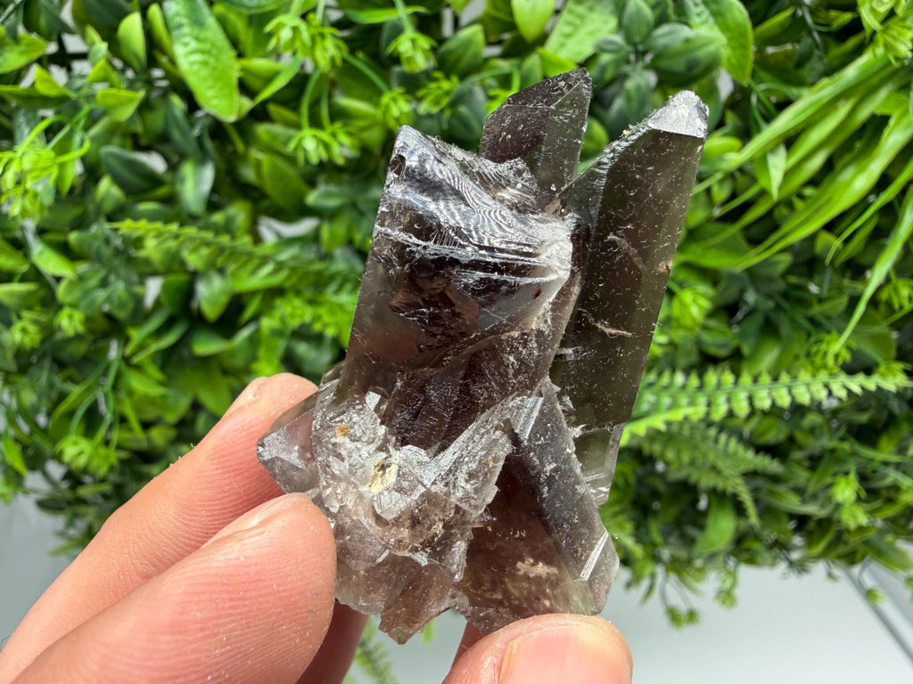 Rare Smoky Quartz Crystal Cluster, Mineral Specimen from Brazil