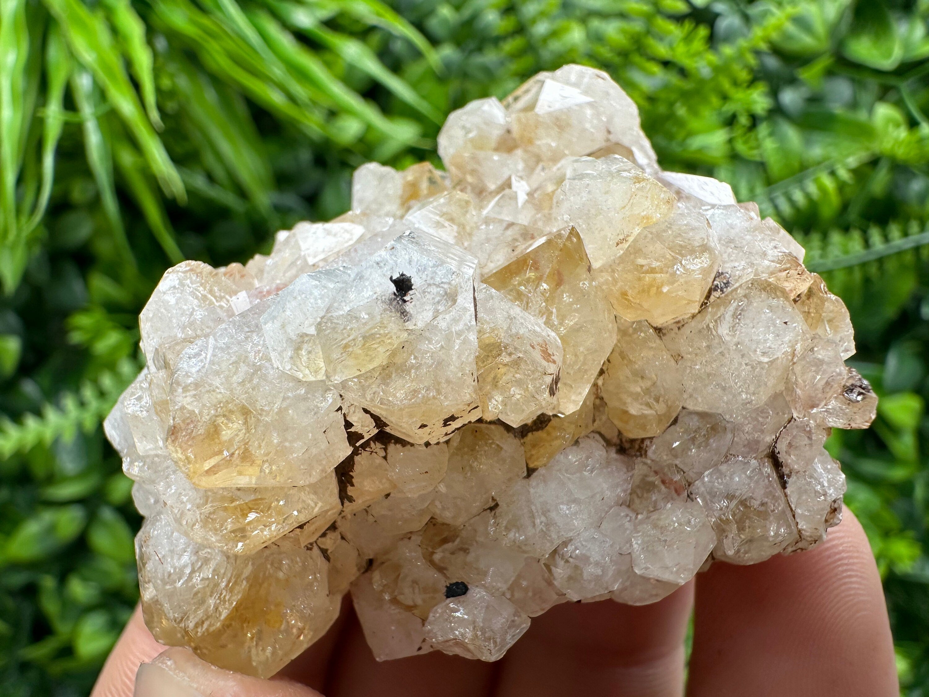Citrine Crystal Cluster with Hematite Inclusions - Brazil