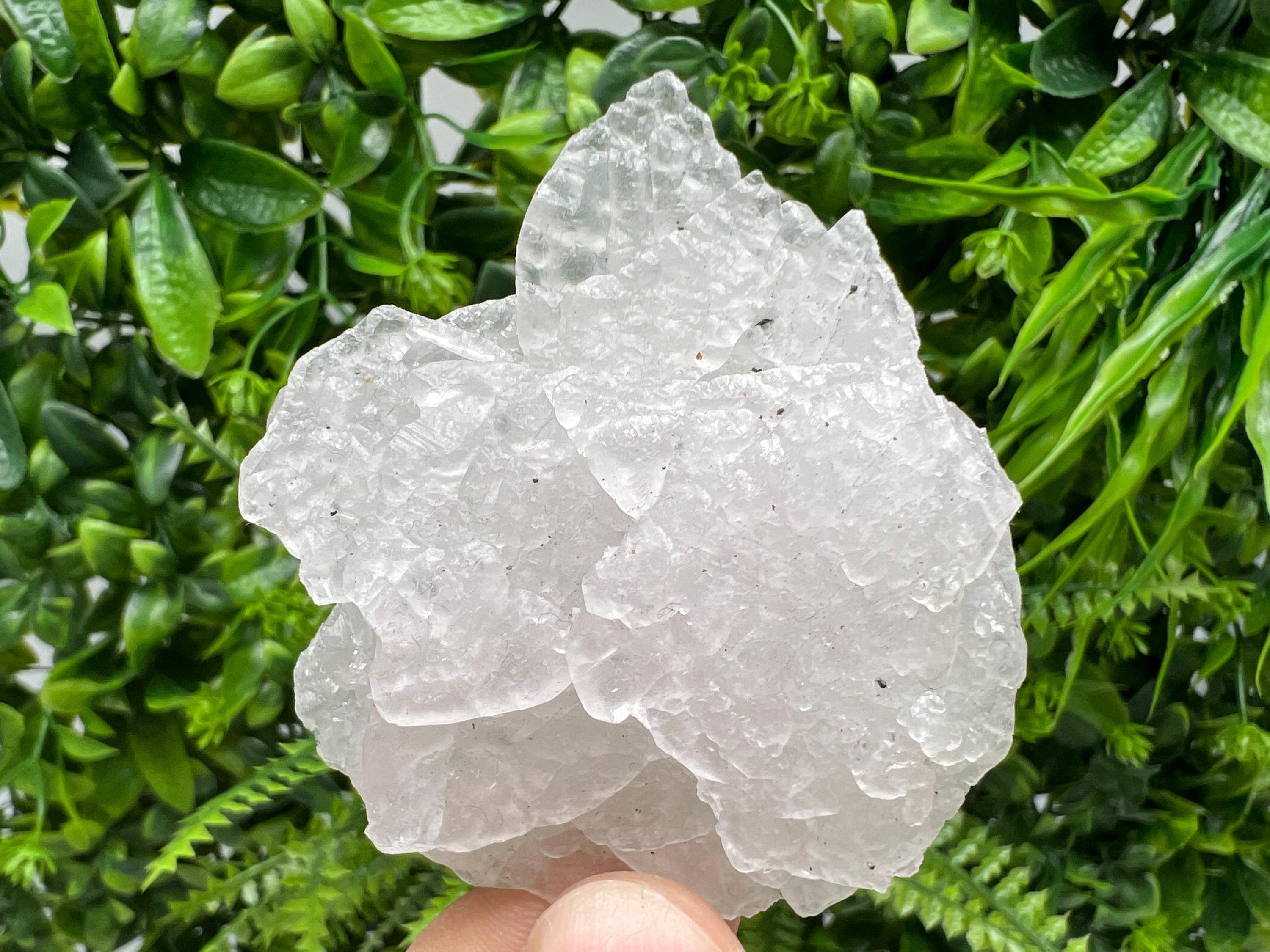 Mangano Calcite with Galena, Borieva Mine Crystal, Bulgaria
