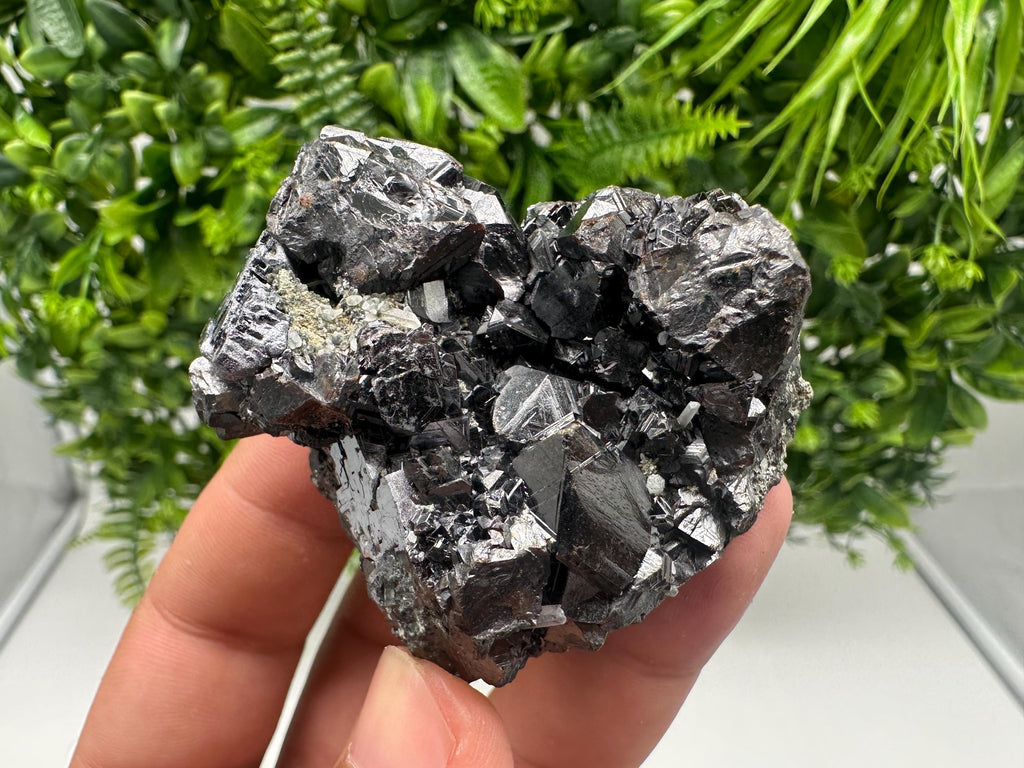Sphalerite with Chlorite, Borieva Mine, Madan, Bulgaria