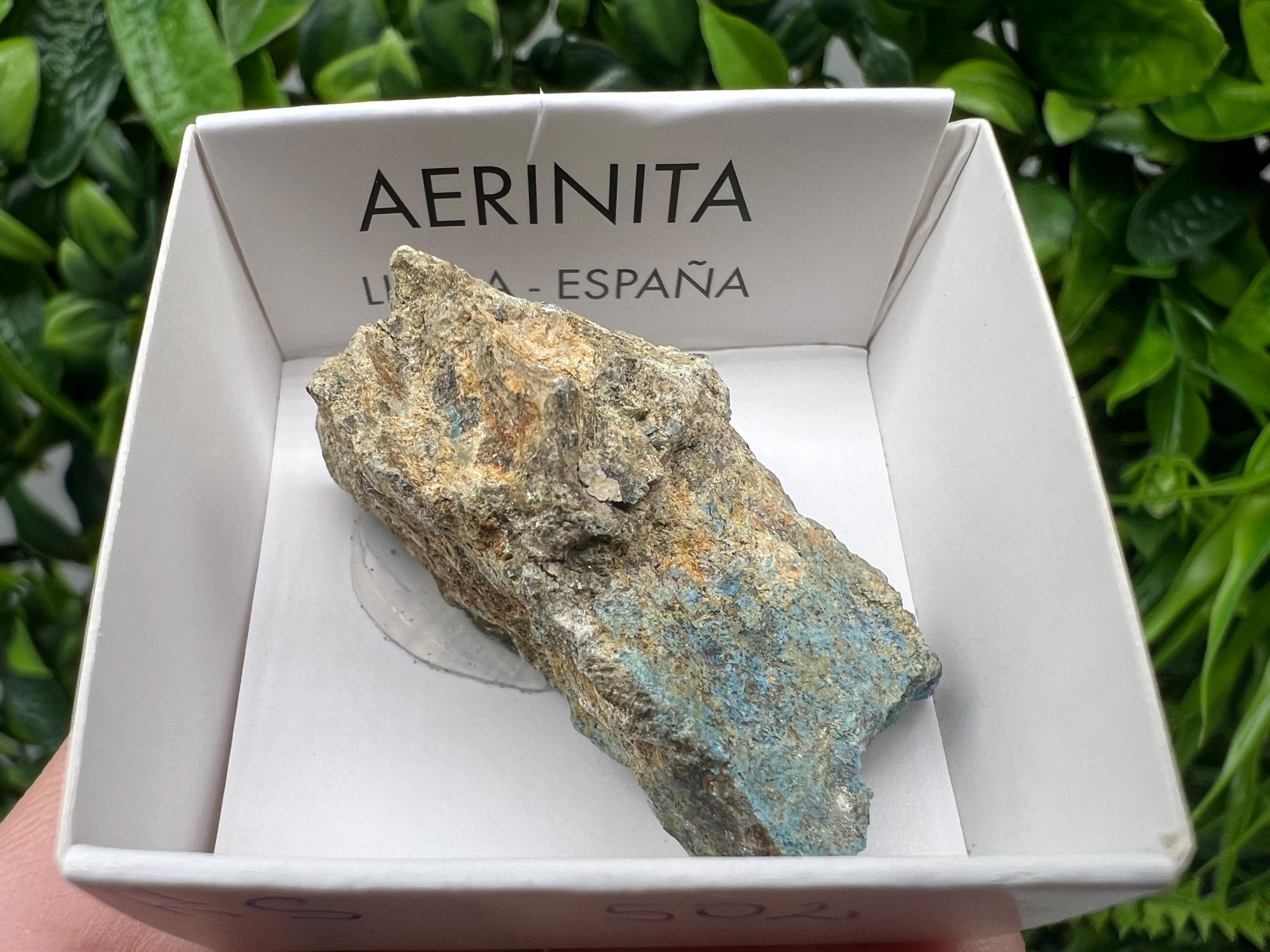 Rare Raw Aerinite Mineral Specimen: Lleida Spain Crystal, 4/2.5cm