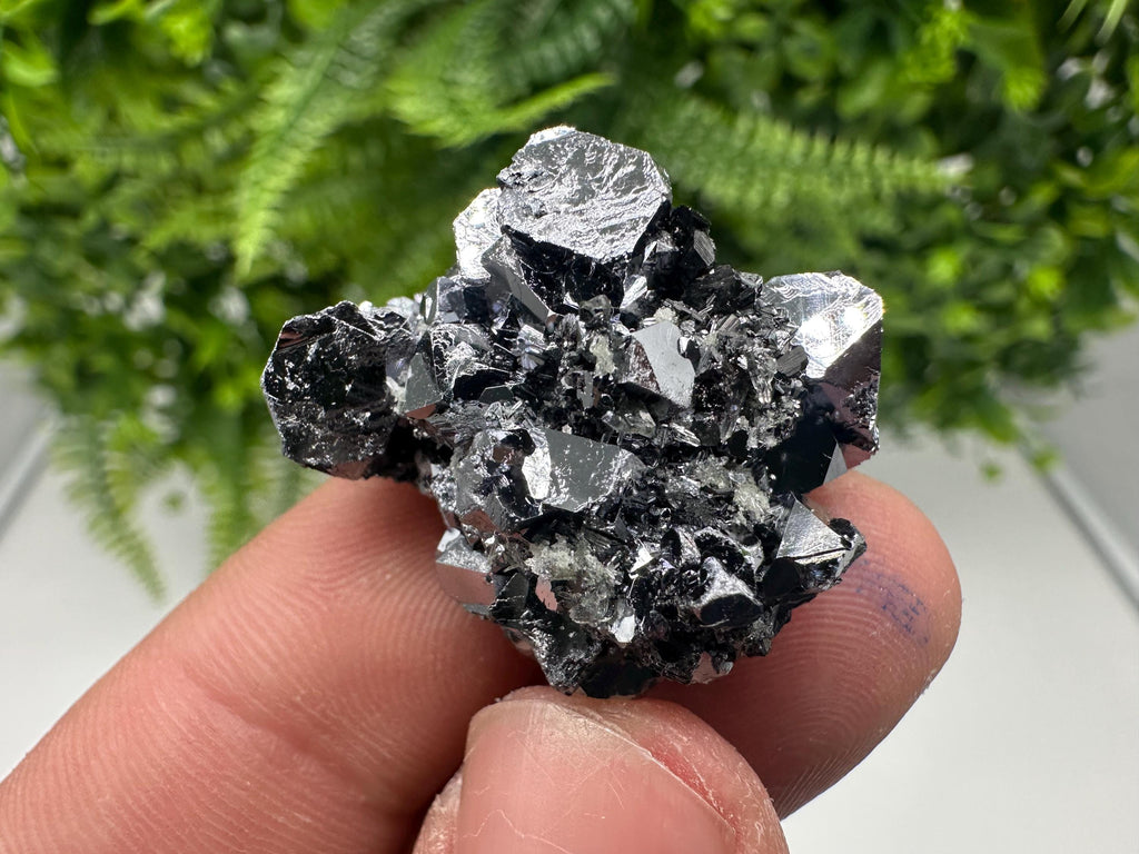 Collected Skeletal GALENA,Sphalerite,Quartz,Calcite from Krushev dol mine,Madan,Bulgaria,natural,collectible mineral specimen home decor