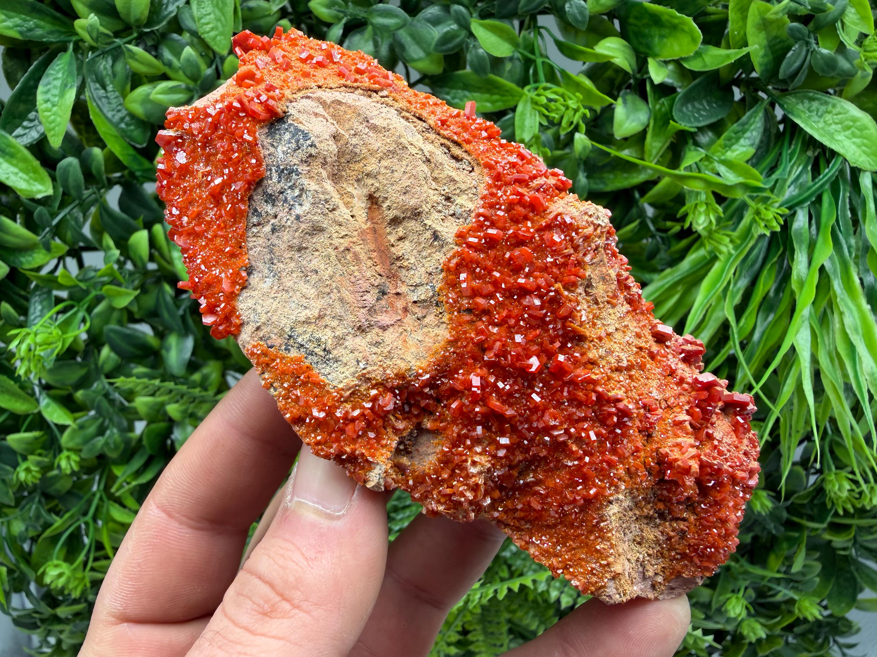 Red Vanadinite on Matrix from Marocco,crystal minerals Speciment cluster Vanadinite crystal Vanadinite Geology Vanadinite cluster minerals