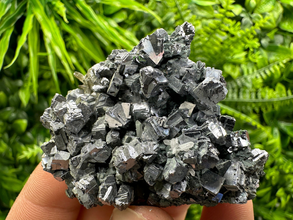 Skeletal Galena Mirror Crystal, Drujba Mine, Bulgaria