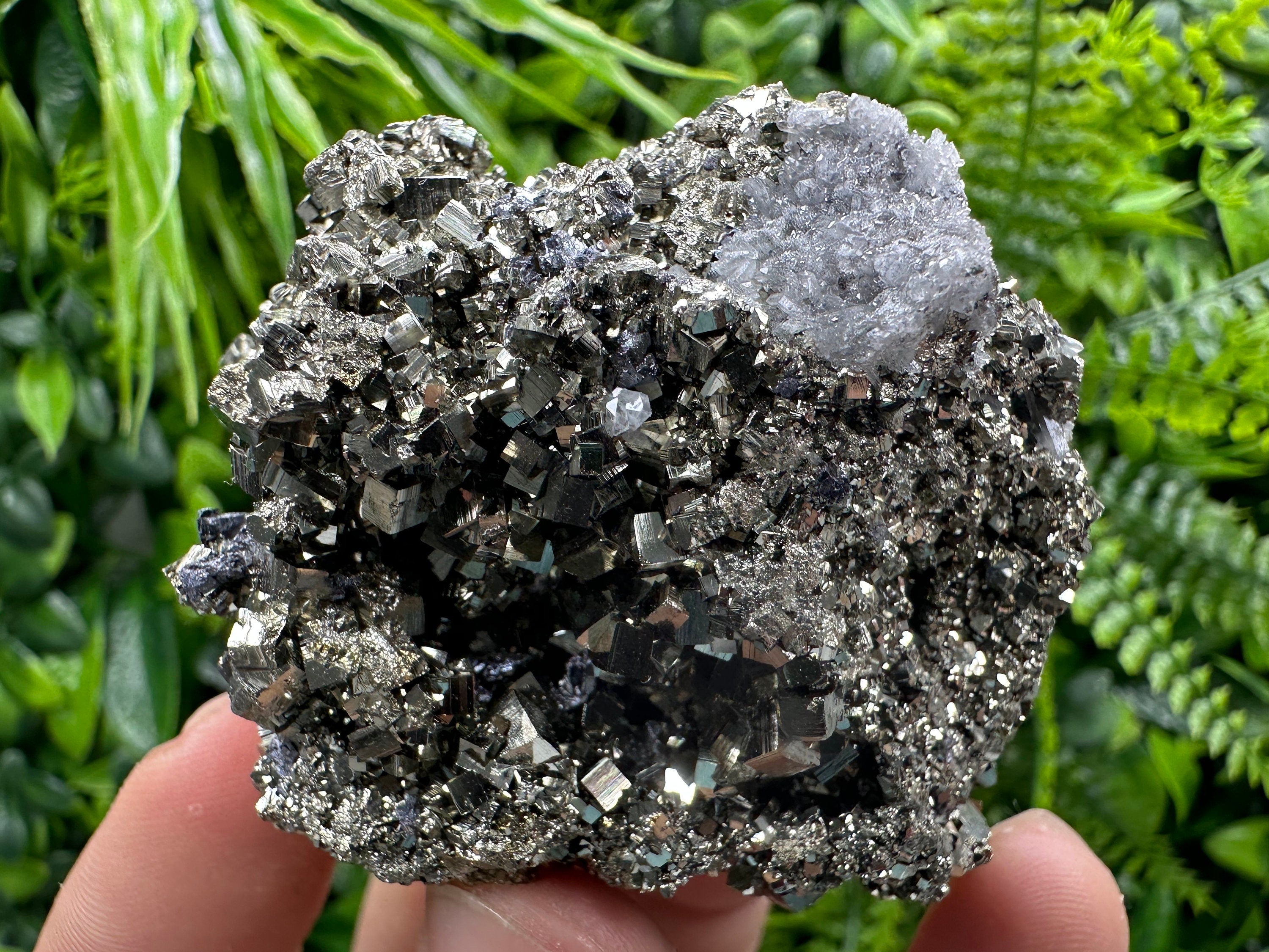Golden Pyrite Crystal: Borieva Mine, Bulgaria