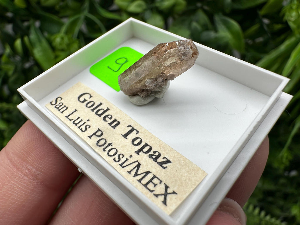 Golden Topaz Crystal, Mineral Specimen from Mexico