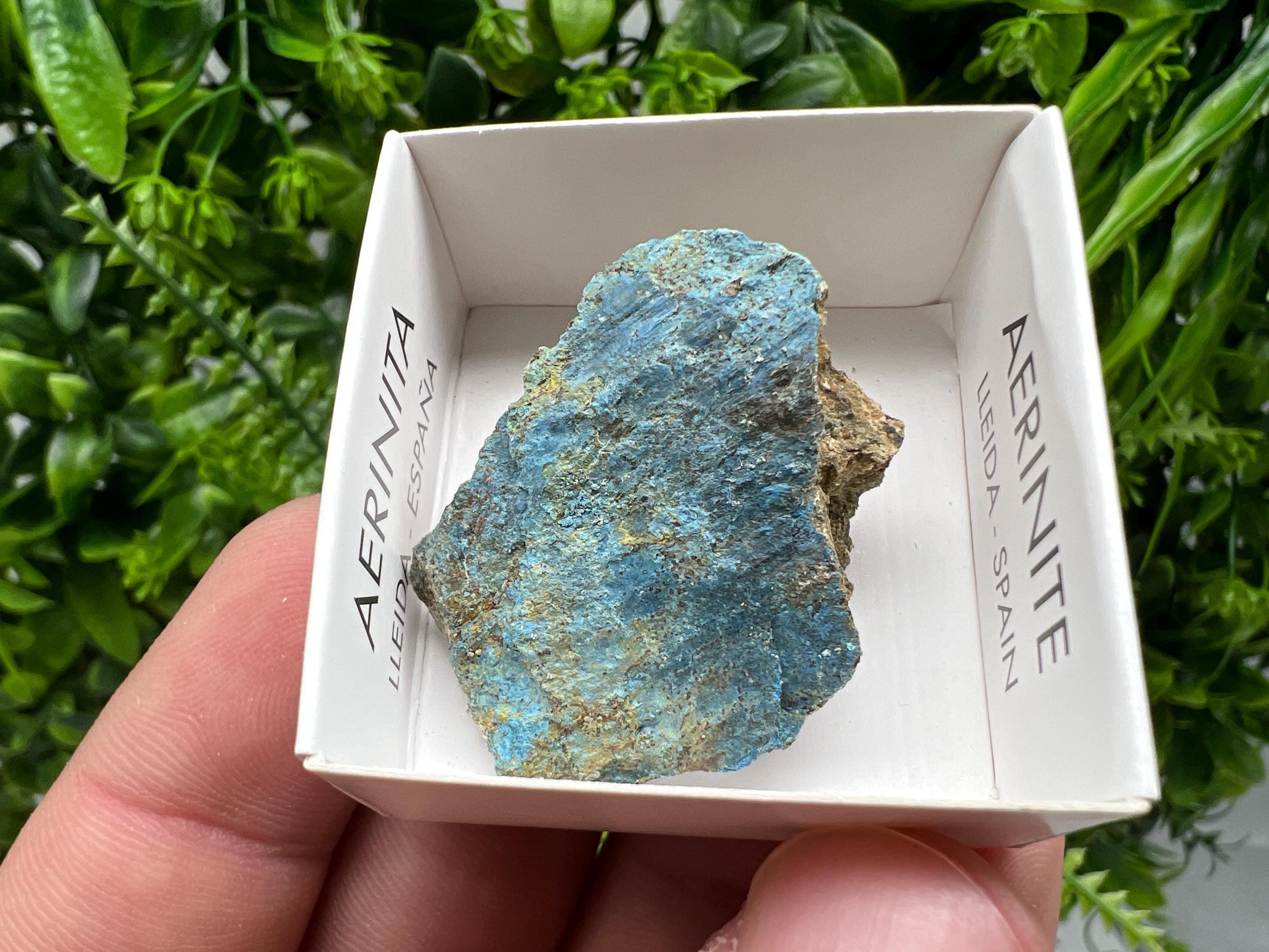 Rare Raw Aerinite Crystal, Mineral Specimen from Lleida, Spain