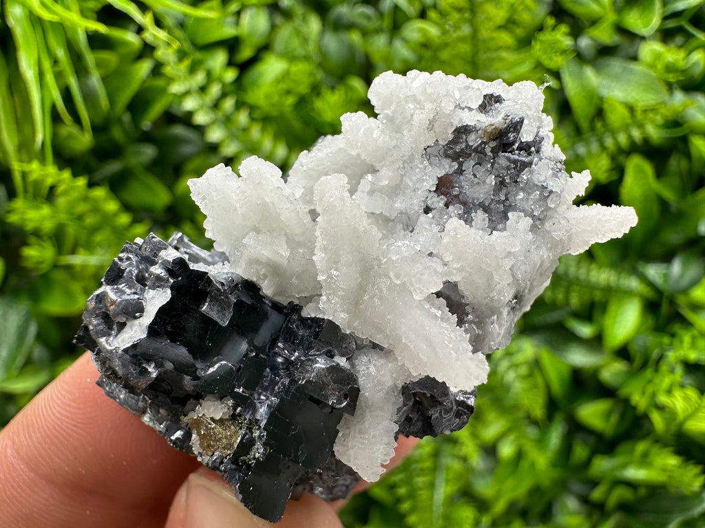 Skeletal Galena, Pyrite, Calcite Mineral Specimen, Bulgaria