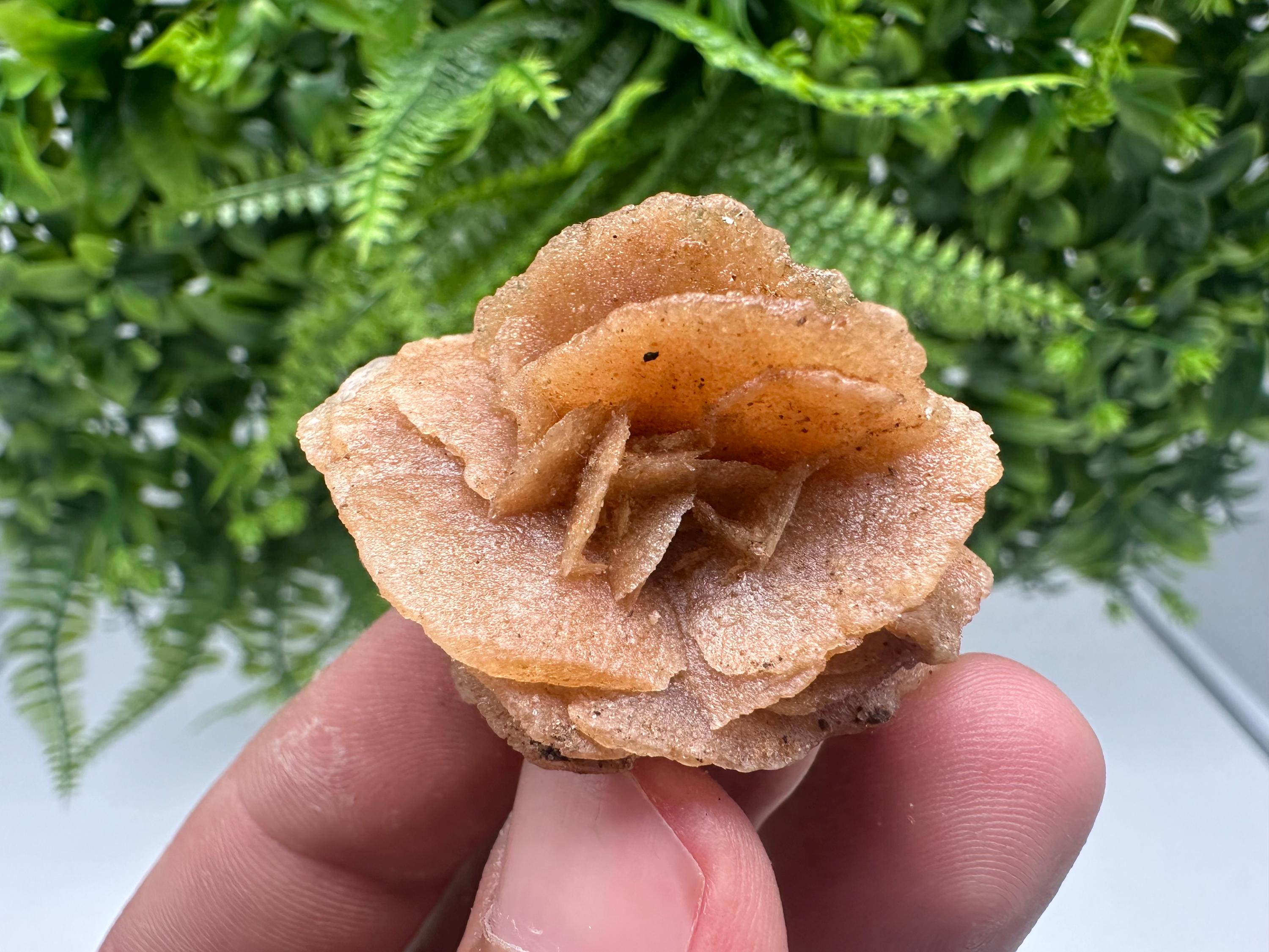 Desert Rose Crystal: Root Chakra Healing Selenite Stone