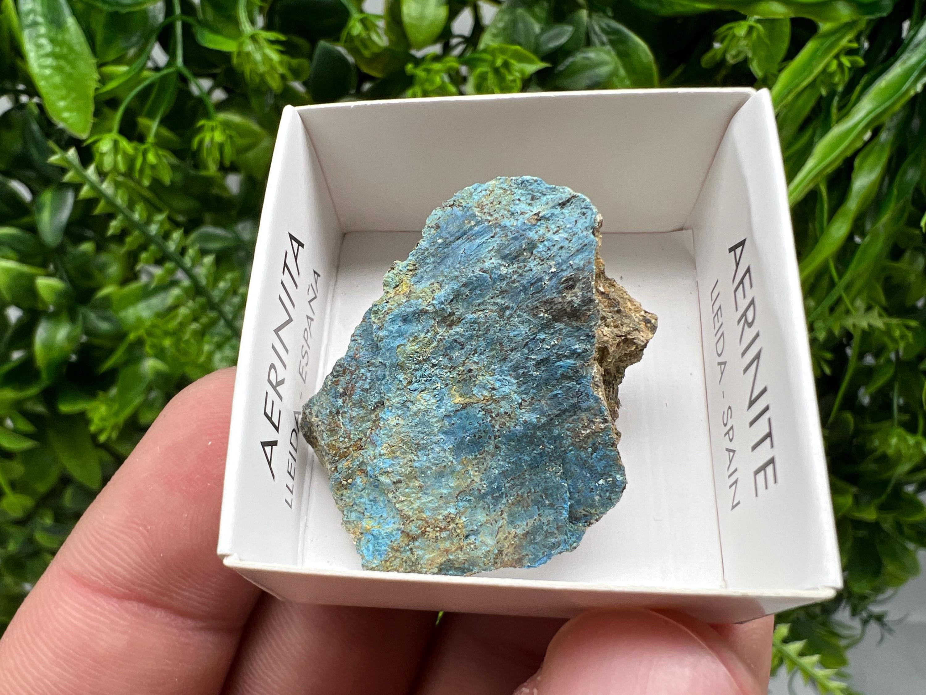 Rare Raw Aerinite Crystal, Mineral Specimen from Lleida, Spain