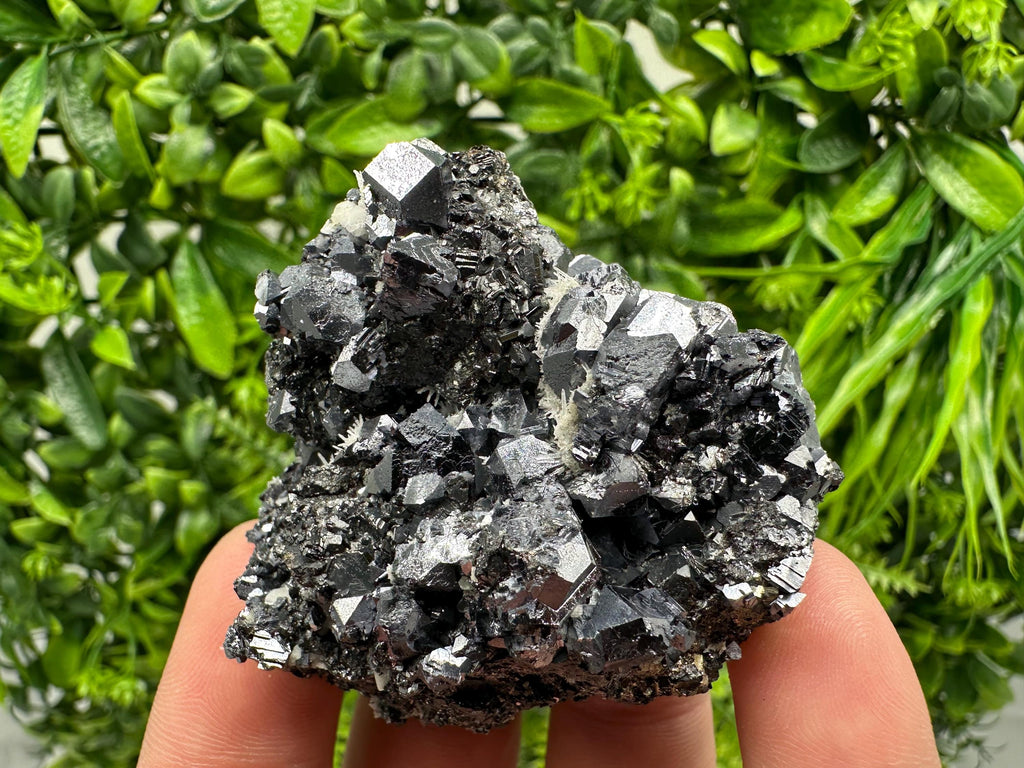 Aesthetic Sphalerite,Galena whit Chlorite from Borieva mine Madan Bulgaria natural minerals souvenir crystal gift home decor stone rock