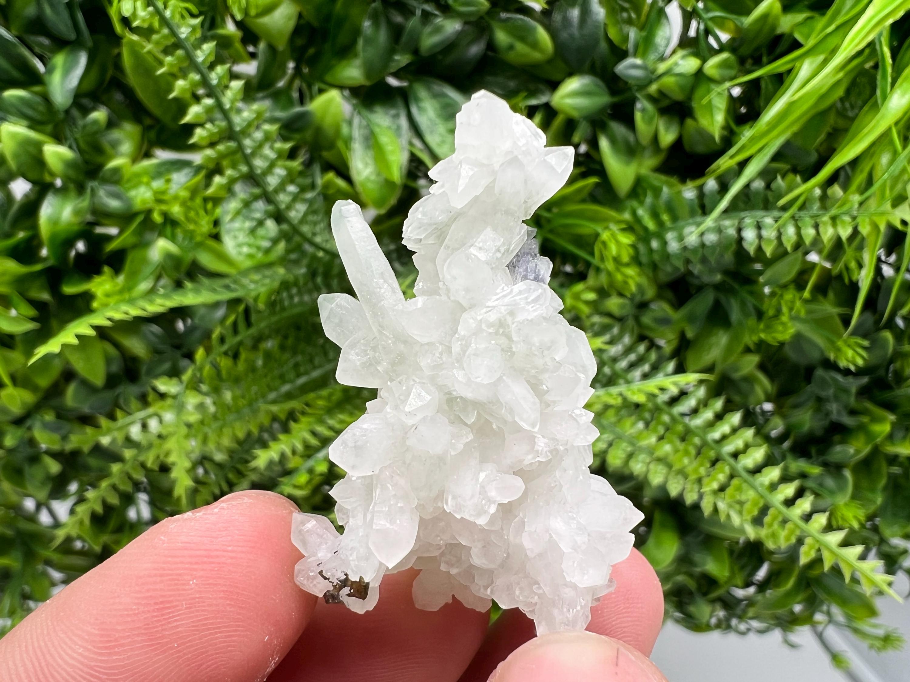 Wonderful Transparent Quartz on Chlorite Matrix,From Borieva mine,Madan,Bulgaria,Quartz,Quartz crystal,mineral specimen,collection quartz