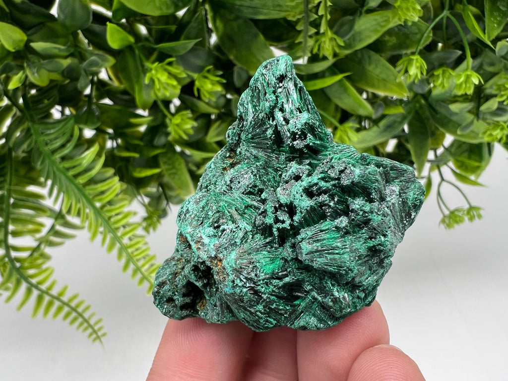 Malachite Crystal from Congo,Minerals,Crystals from Congo,Green Malachite, Malachite,Natural Malachite,Malachite Stone,Chakra, Specimens