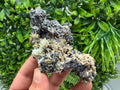 Wonderful Sphalerite Chalcopyrite on  Quartz whit Galena feom 9 th September mine,Bulgaria,natural,collection mineral specimen,gift