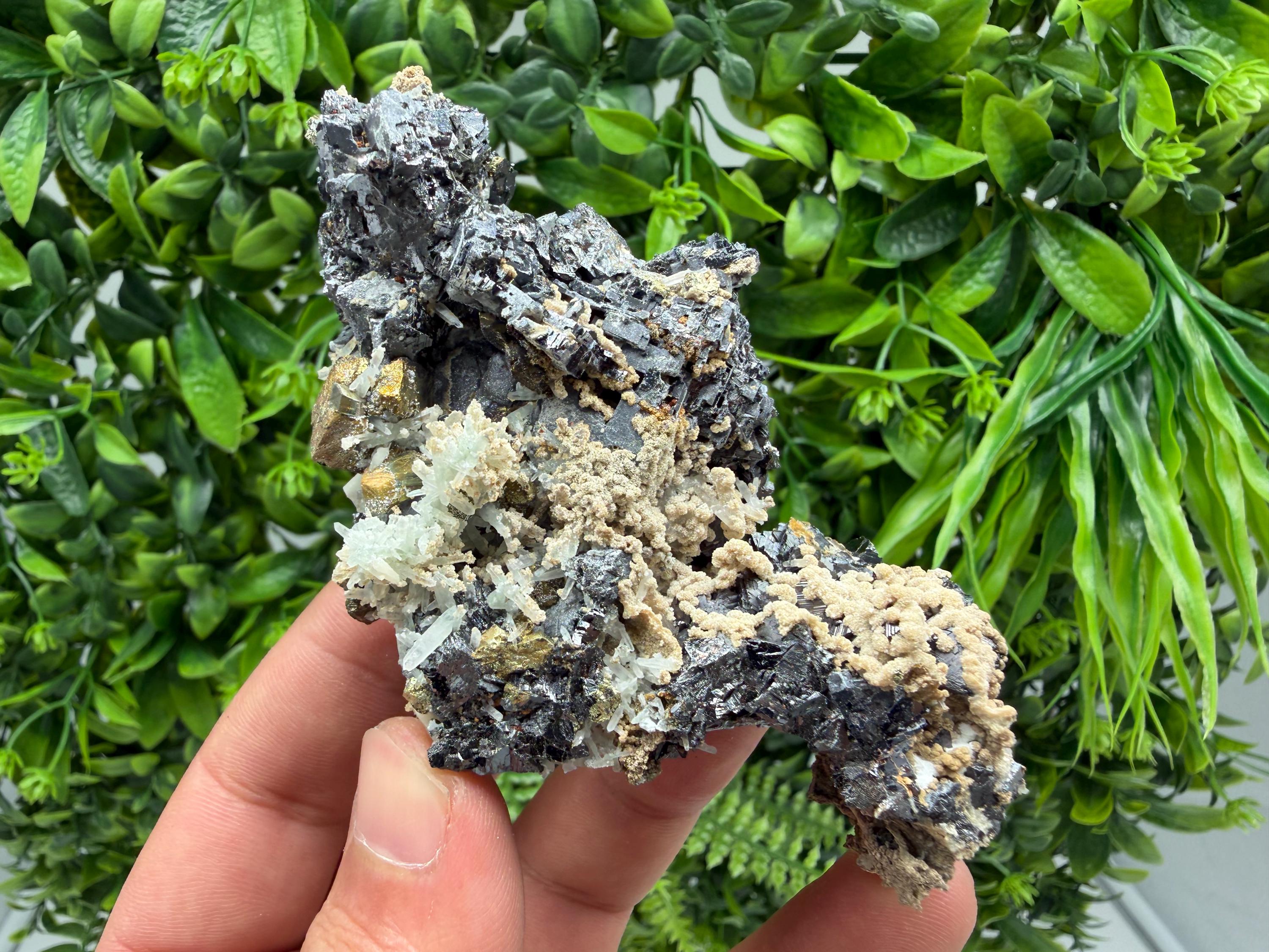 Wonderful Sphalerite Chalcopyrite on  Quartz whit Galena feom 9 th September mine,Bulgaria,natural,collection mineral specimen,gift