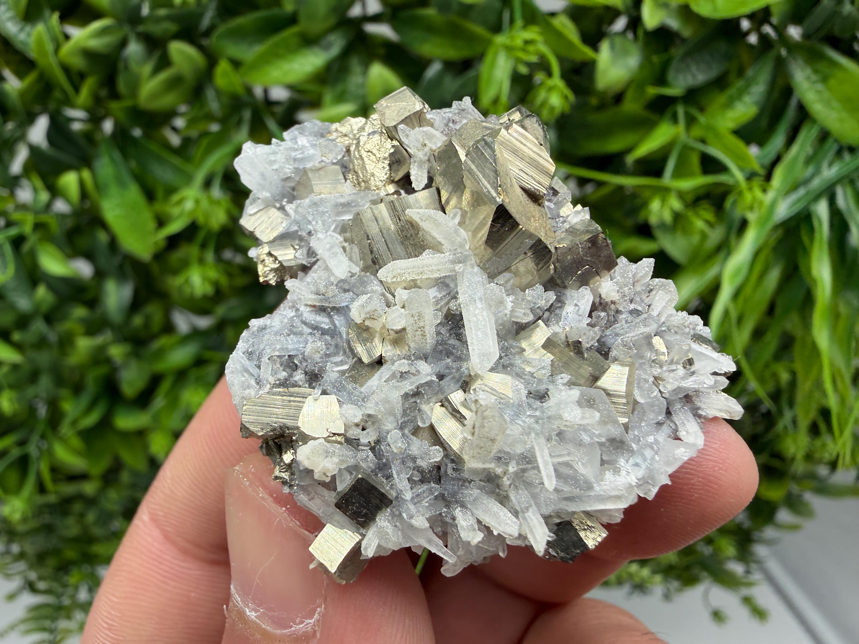Pyrite Sphalerite Quartz  Mineral Specimen, Krushev dol Mine