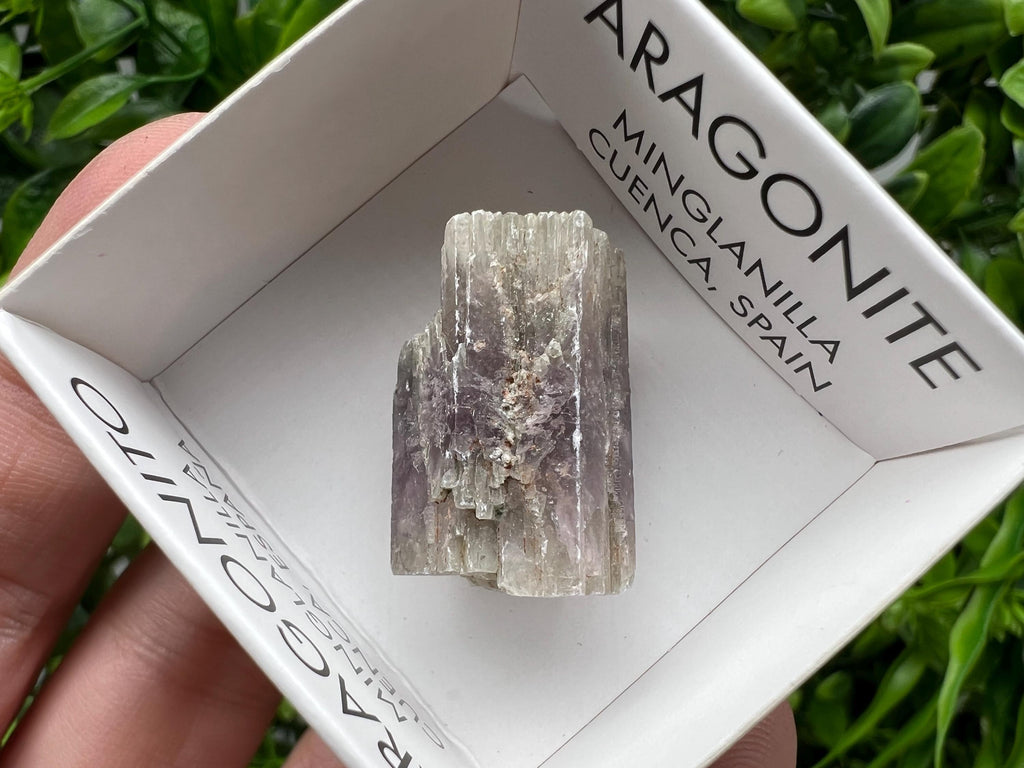 Amazing Aragonite from Spain,Aragonite crystal,cluster,natural,mineral,specimen,Purple Aragonite,Spanish Aragonite,Mineralcollection