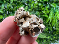 Rainbow Pyrite with Calcite, Natural Crystal Home Decor