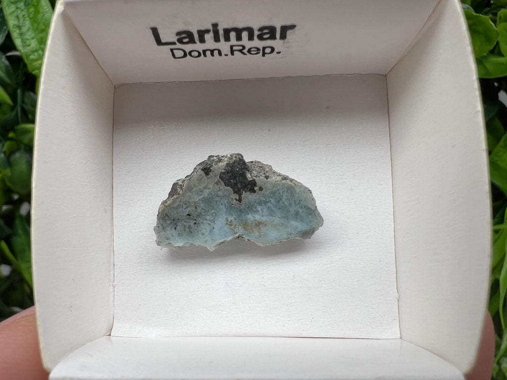 Rare Raw Larimar Specimen: Dominican Republic Mineral Collection (23/15mm