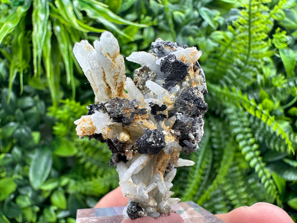 Green Quartz with Galena Chalcopyrite: Madan Bulgaria Mineral Decor