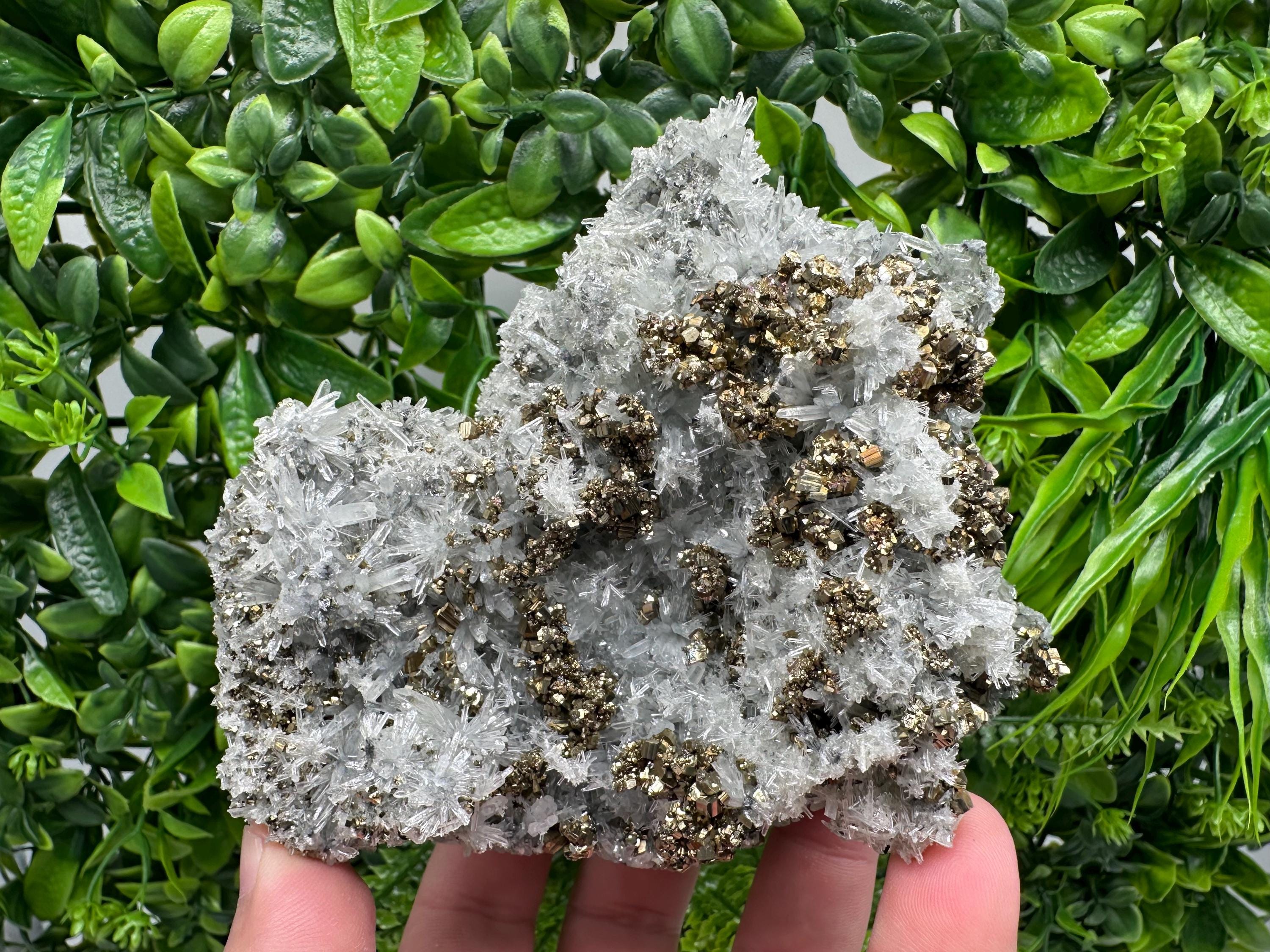 Pyrite on Needle Quartz, Borieva Mine, Bulgaria, Mineral Specimen