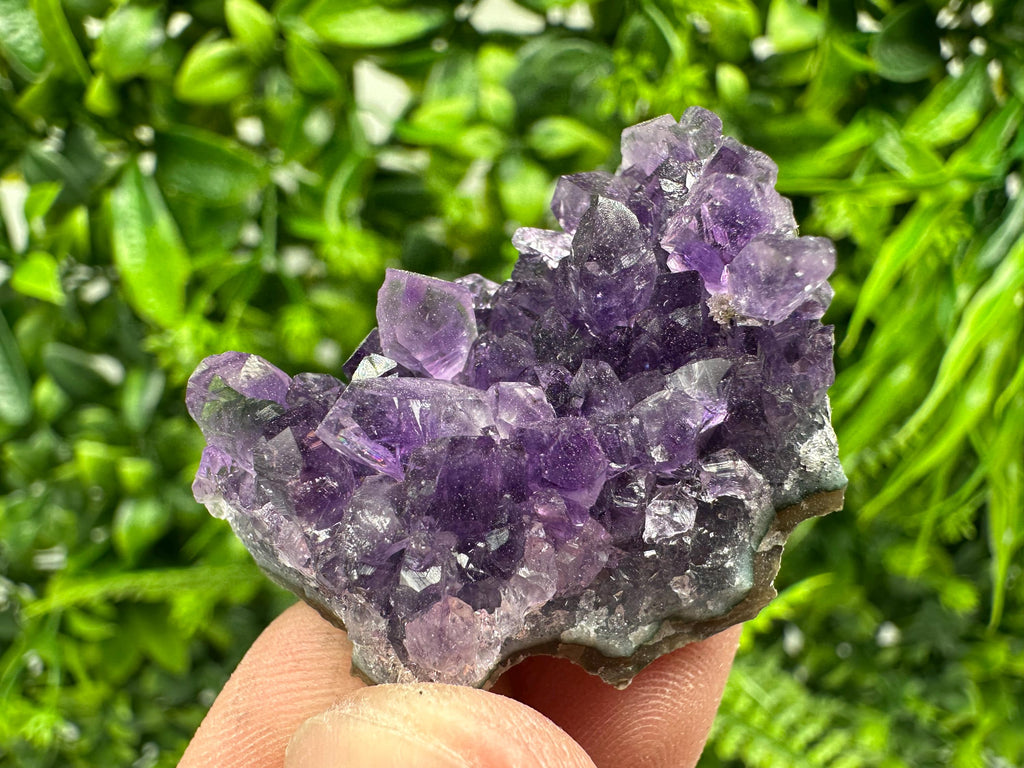 Uruguay Amethyst Crystal: Purple Quartz Cluster, Home Decor