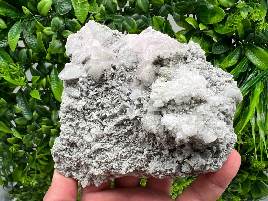 UV Reactive Mangano Calcite Crystal, Androvo Mine Bulgaria