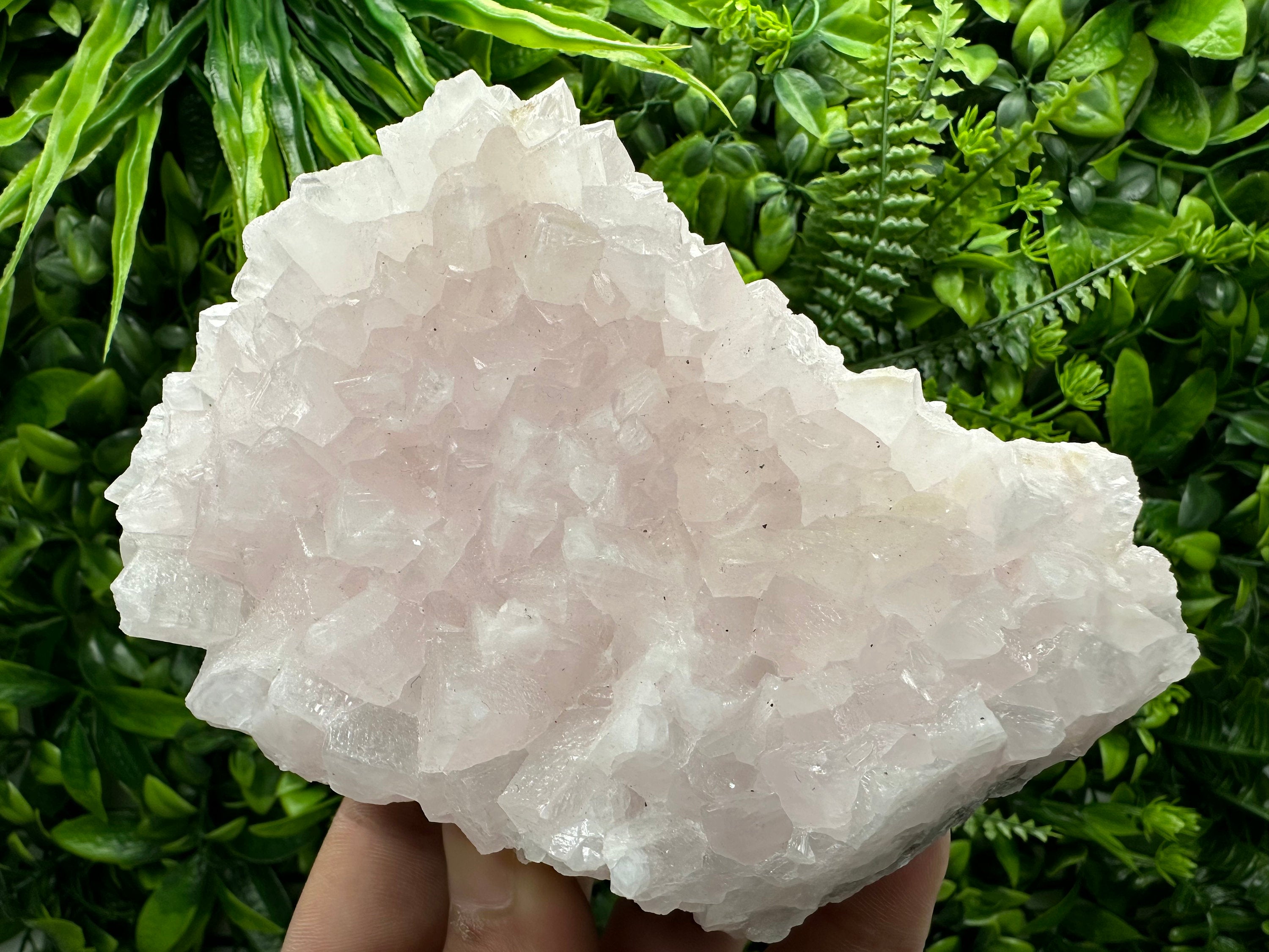 UV Reactive Mangano Calcite, Androvo Mine Bulgaria, Mineral Specimen
