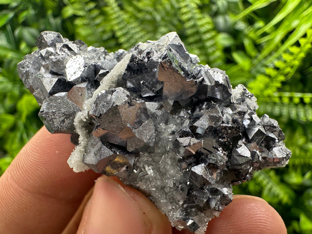 Shiny Galena on Quartz: Natural Mineral Souvenir from Bulgaria