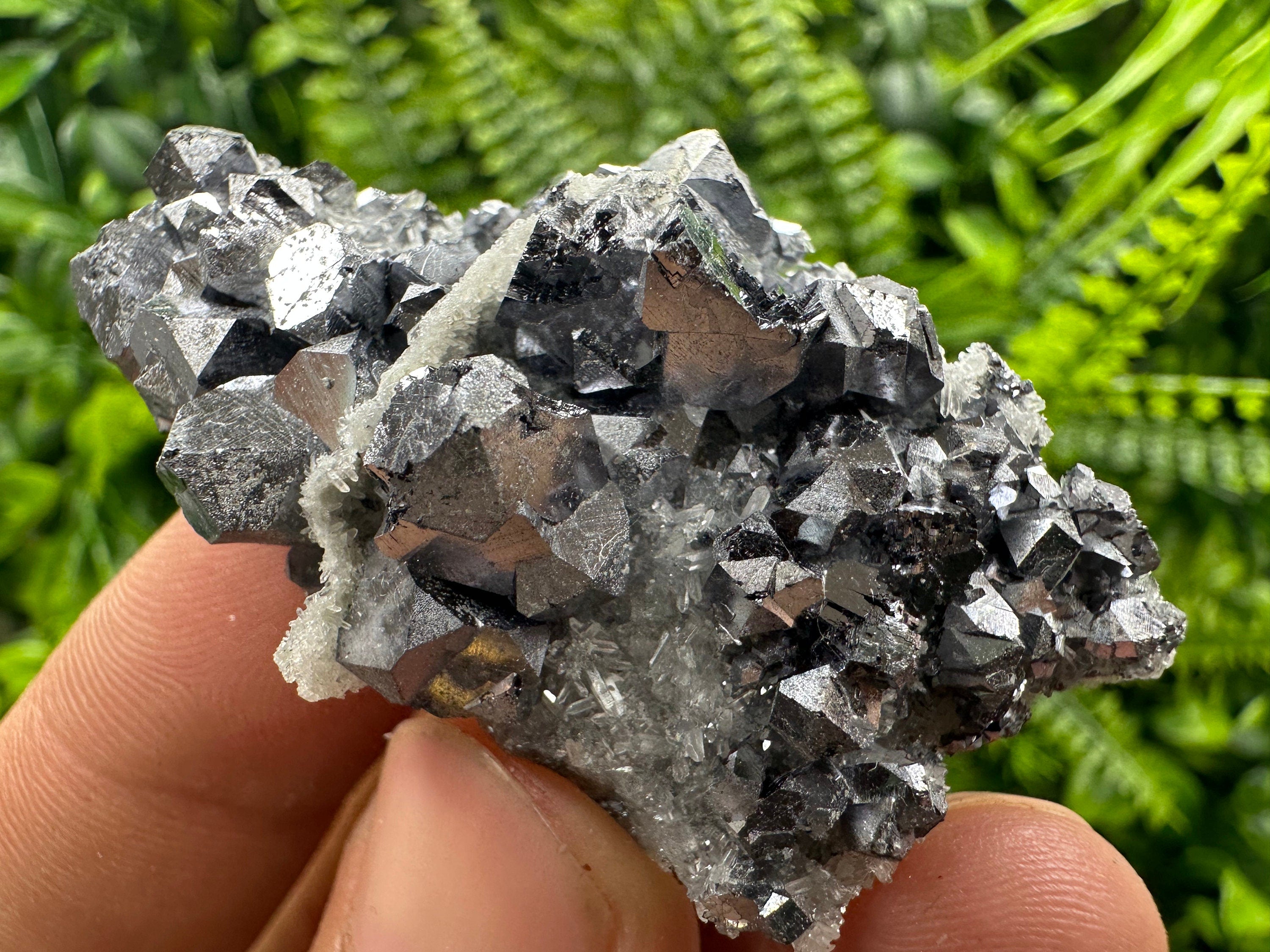 Shiny Galena on Quartz: Natural Mineral Souvenir from Bulgaria