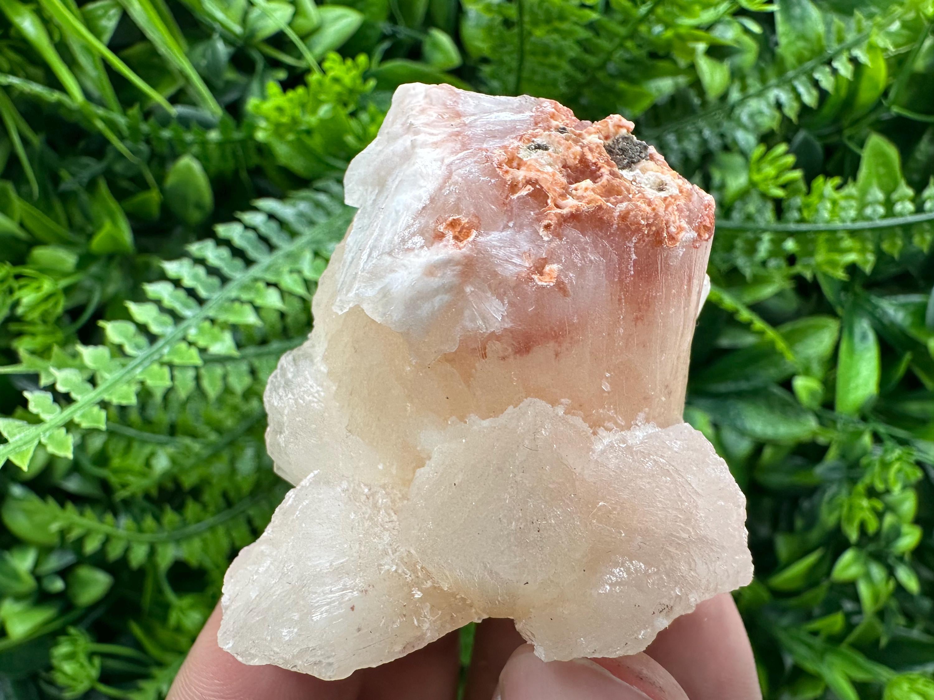 Stilbite Crystal on Matrix, India Minerals Specimen