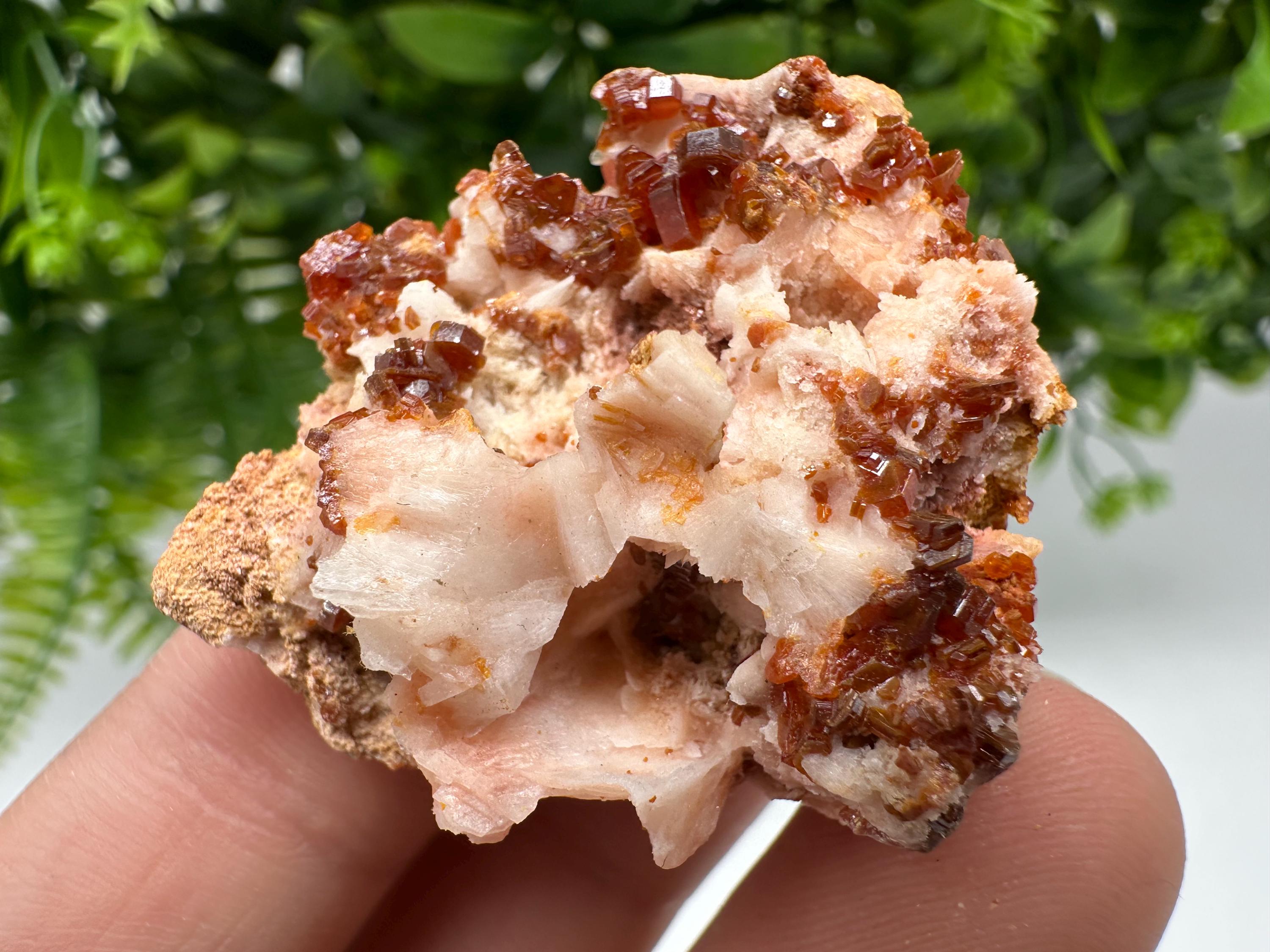 Red Vanadinite on Barite from Marocco,crystal minerals Speciment cluster Vanadinite crystal Vanadinite Geology Vanadinite cluster minerals