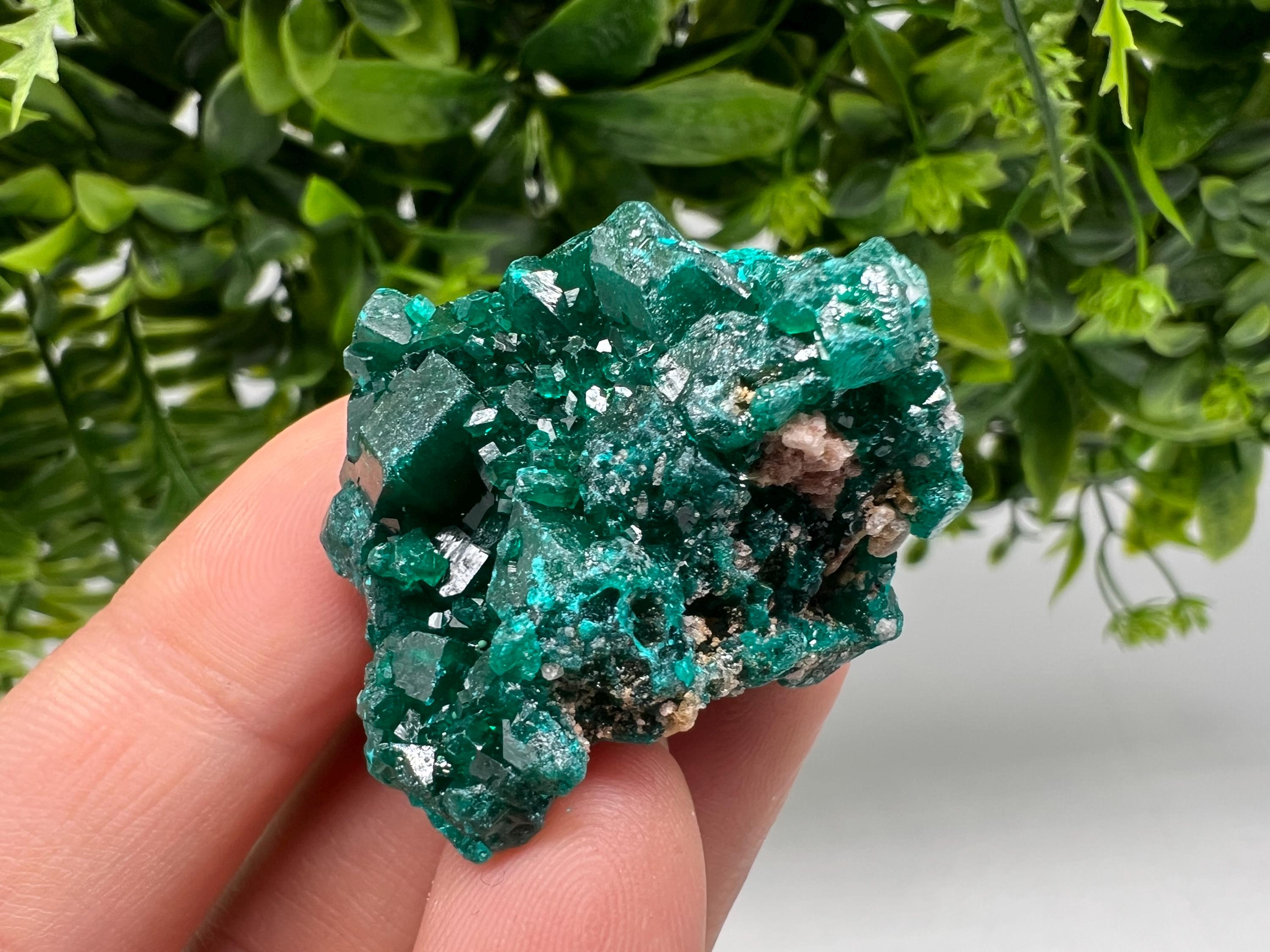 Stunning Green Dioptase from Sanda Hills,Mindouli,Pool Department,Mindouli District,Congo,green Dioptase,Dioptas Crystal,Dioptase collecting