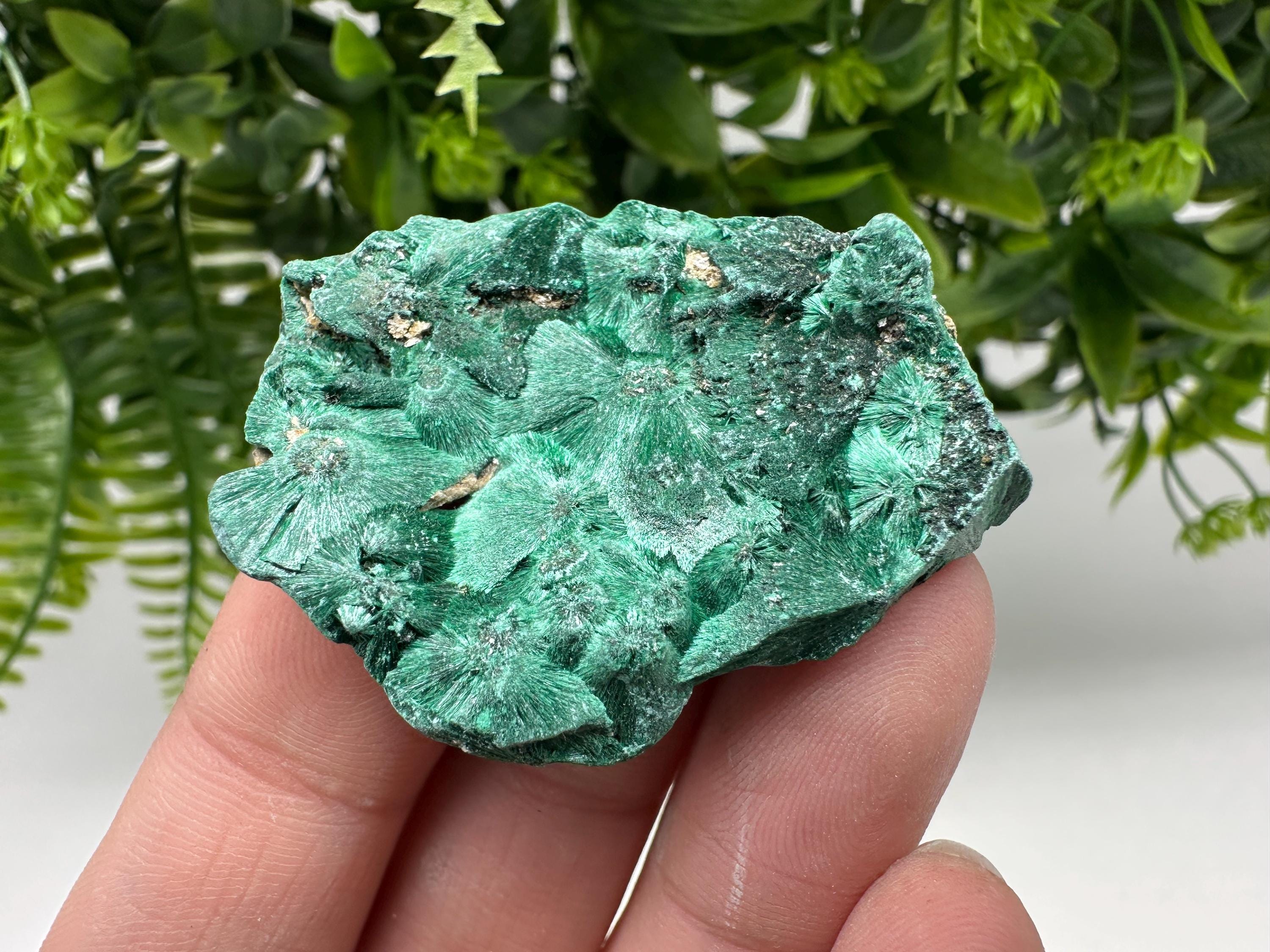 Polished Malachite Crystal from Congo, Green Specimen, Chakra Mineral Stone