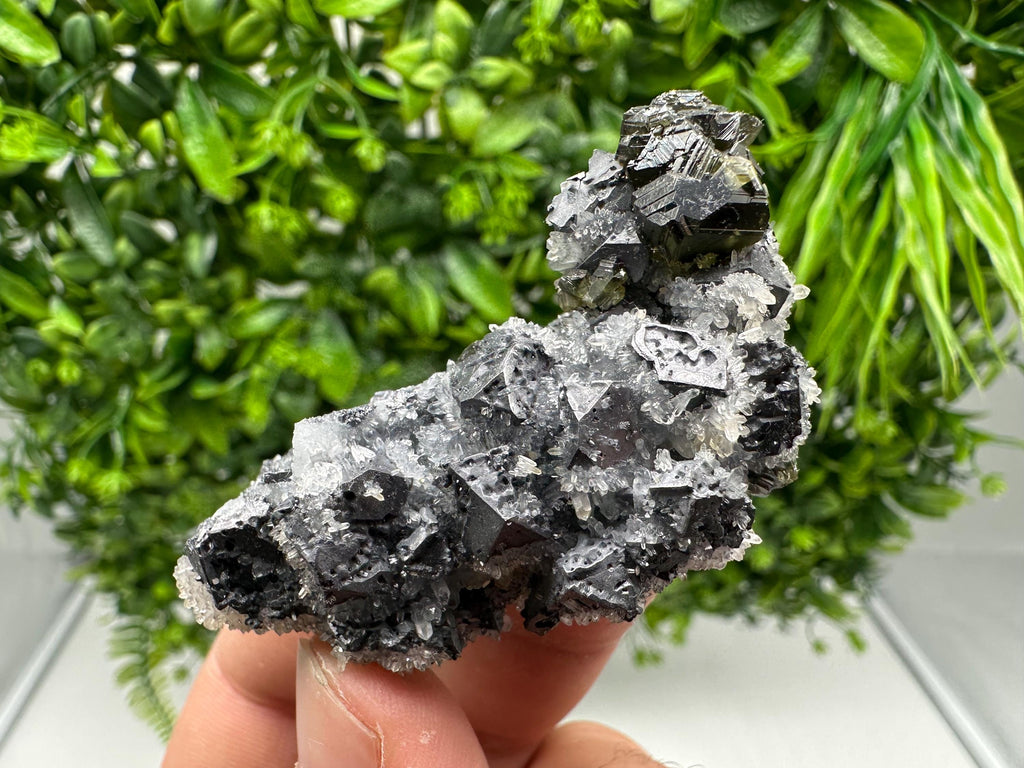 Rare Galena Sphalerite Pyrite Mineral Specimen: Krushev Dol Mine