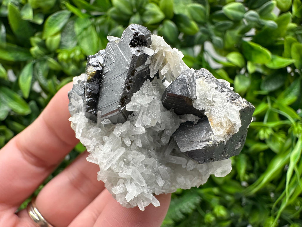 Wonderful Sphalerite Chalcopyrite on  Quartz whit Galena feom 9 th September mine,Bulgaria,natural,collection mineral specimen,gift