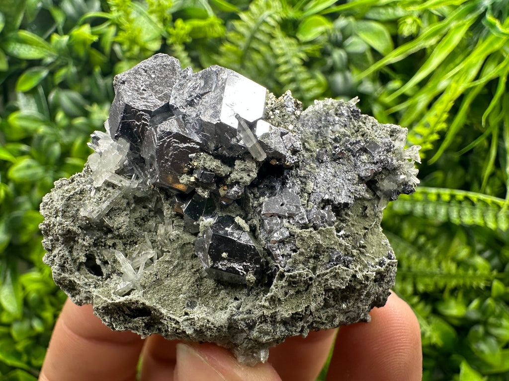 Galena on Quartz and Chlorite: Natural Minerals from Borieva Bulgaria