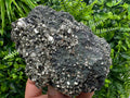 Golden Pyrite on Sphalerite with Chlorite, Bulgaria Mineral Specimen