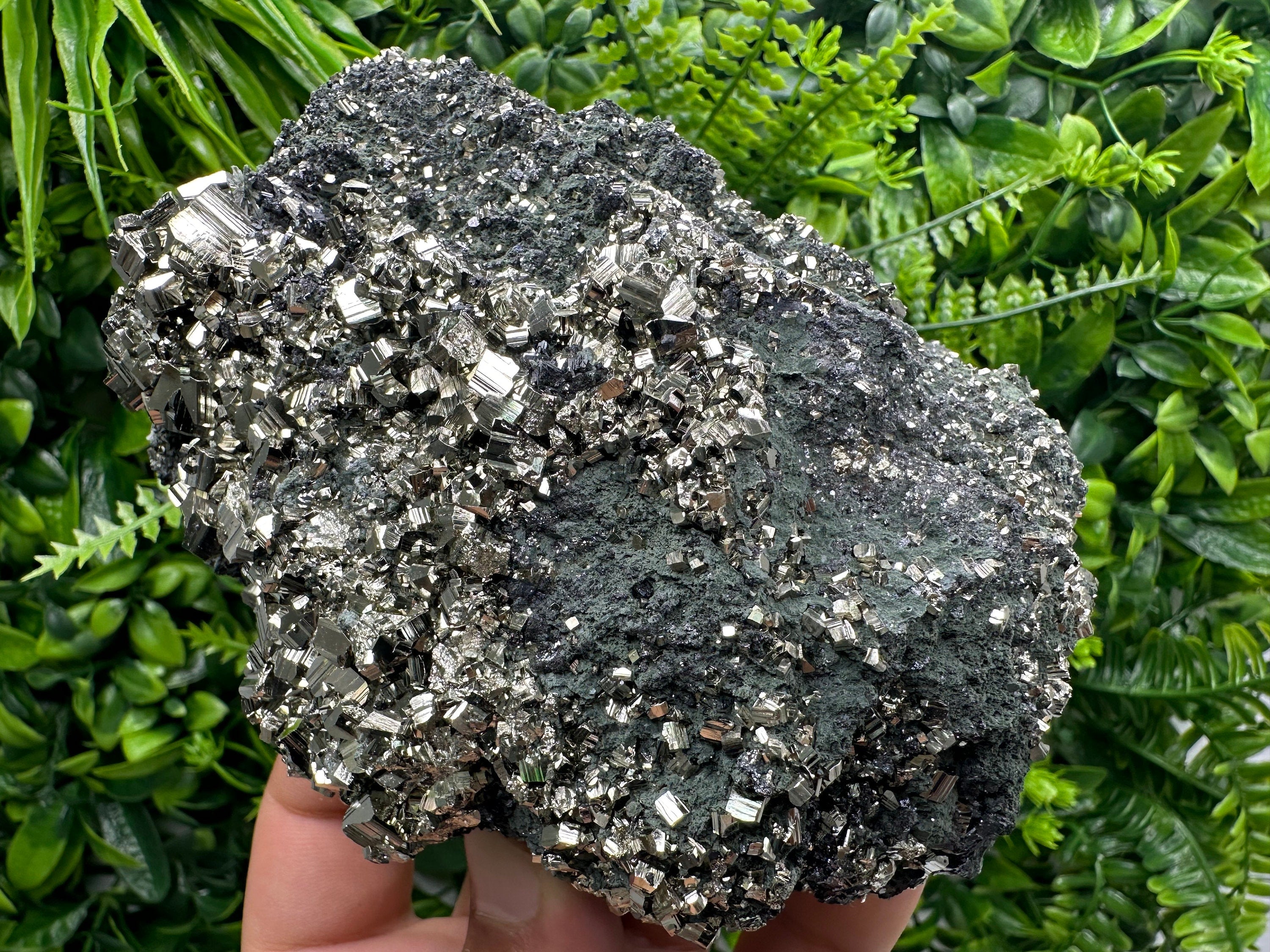 Golden Pyrite on Sphalerite with Chlorite, Bulgaria Mineral Specimen