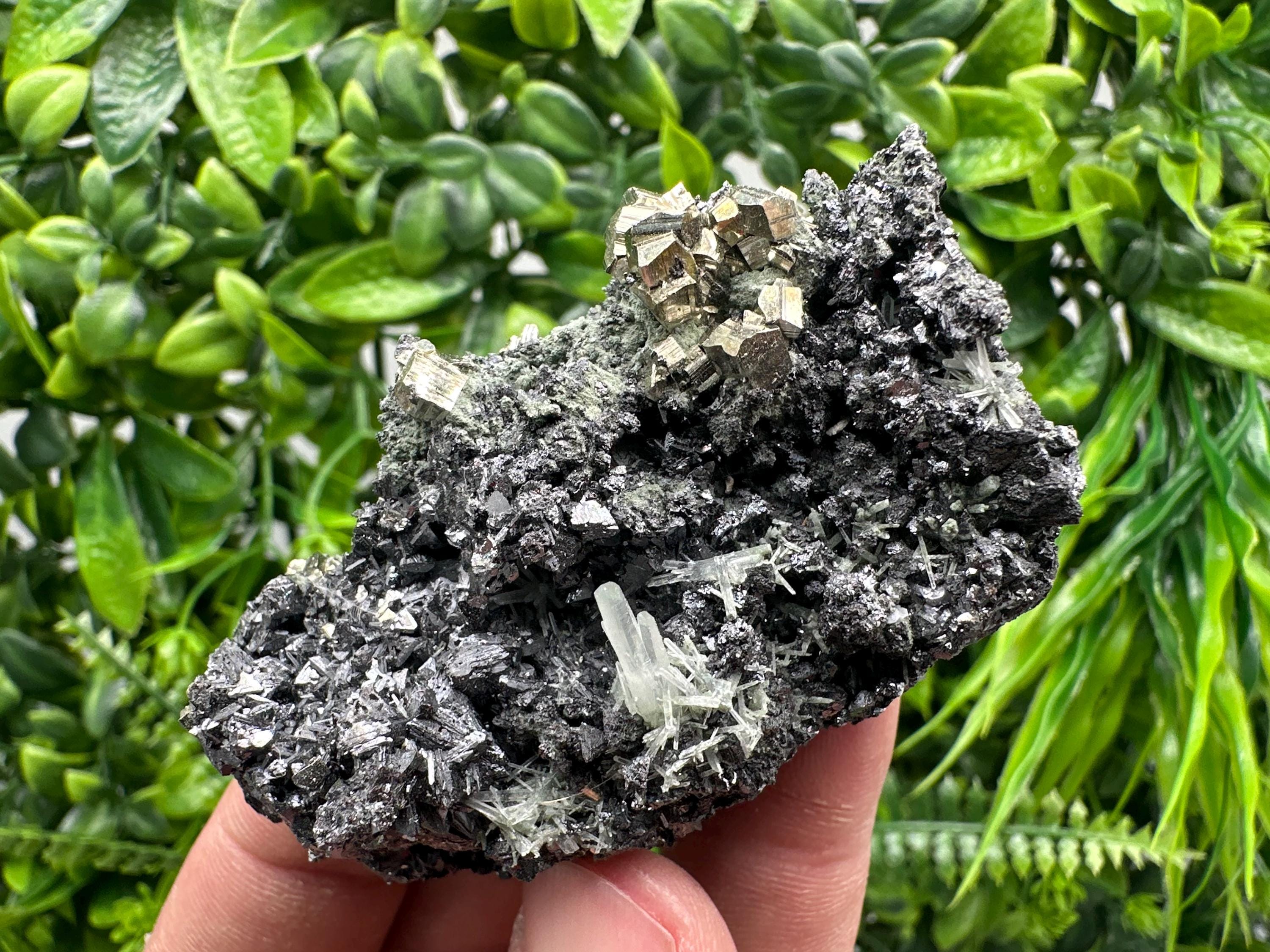 Pyrite on Sphalerite with Quartz, Borieva Mine Mineral Specimen