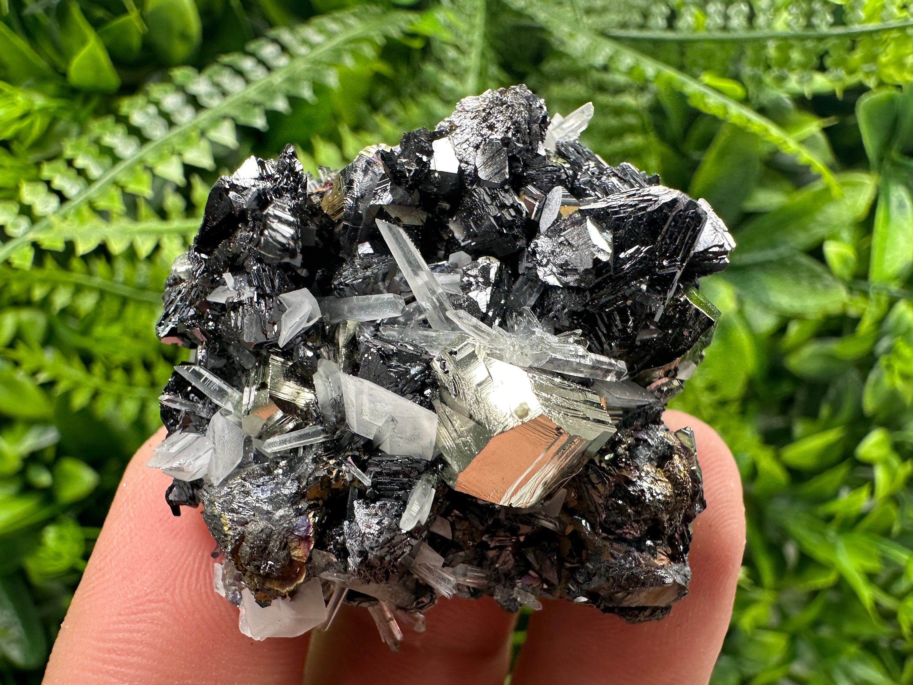 Pyrite Sphalerite Quartz Cluster, Borieva Mine Mineral Specimen