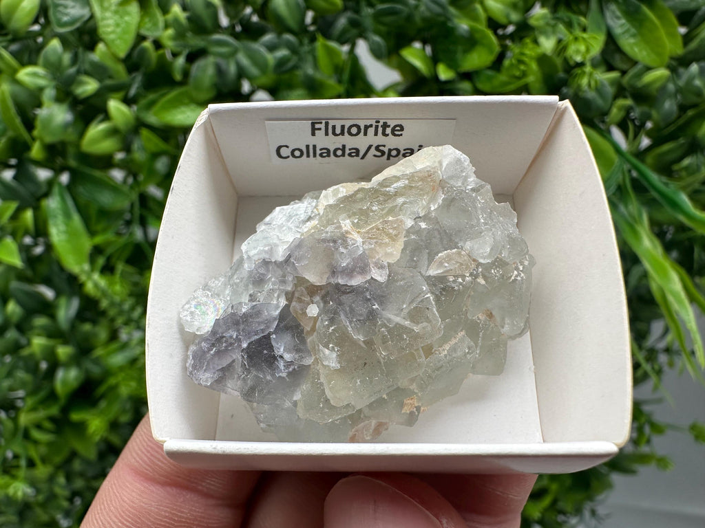 Green Raw Fluorite Cluster: Vintage Meditation Stone (4.5/3.5)