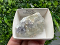 Green Raw Fluorite Cluster: Vintage Meditation Stone (4.5/3.5)