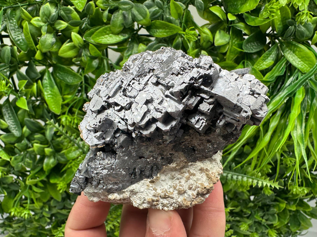 Aesthetic Natural shiny Galena whit Siderite and Quartz from 9 th September mine,Bulgaria,collection specimen,rare galena,Galena cluster