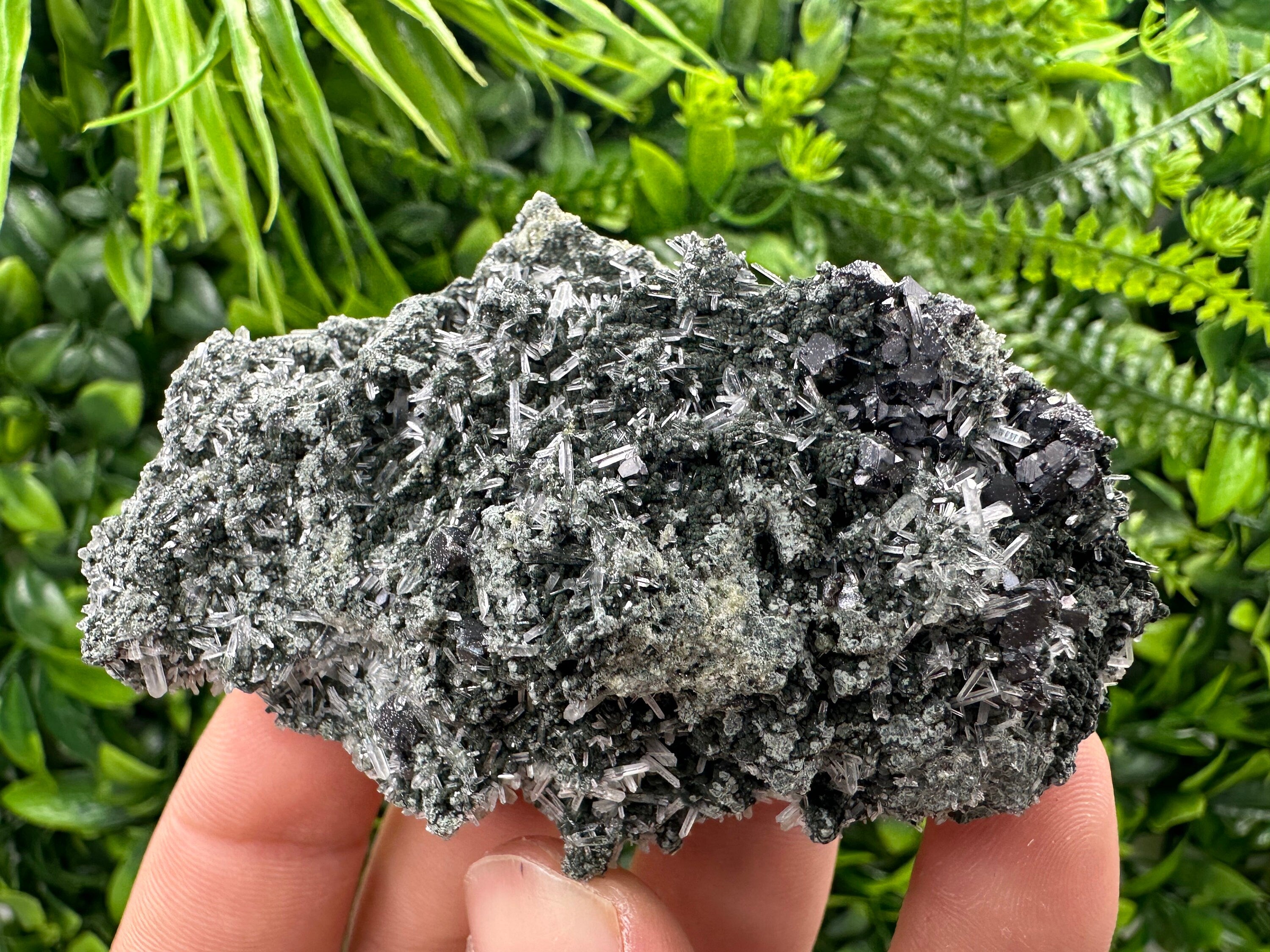 Sphalerite on Green Quartz with Chlorite Inclusion - Bulgaria Crystal Decor (8/6/4 cm)