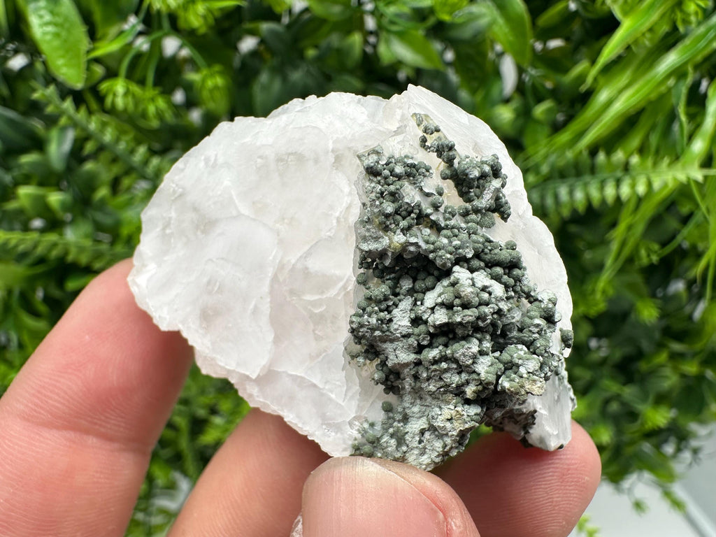 Calcite on Green Quartz: Djurcovo Mine, Bulgaria Crystal