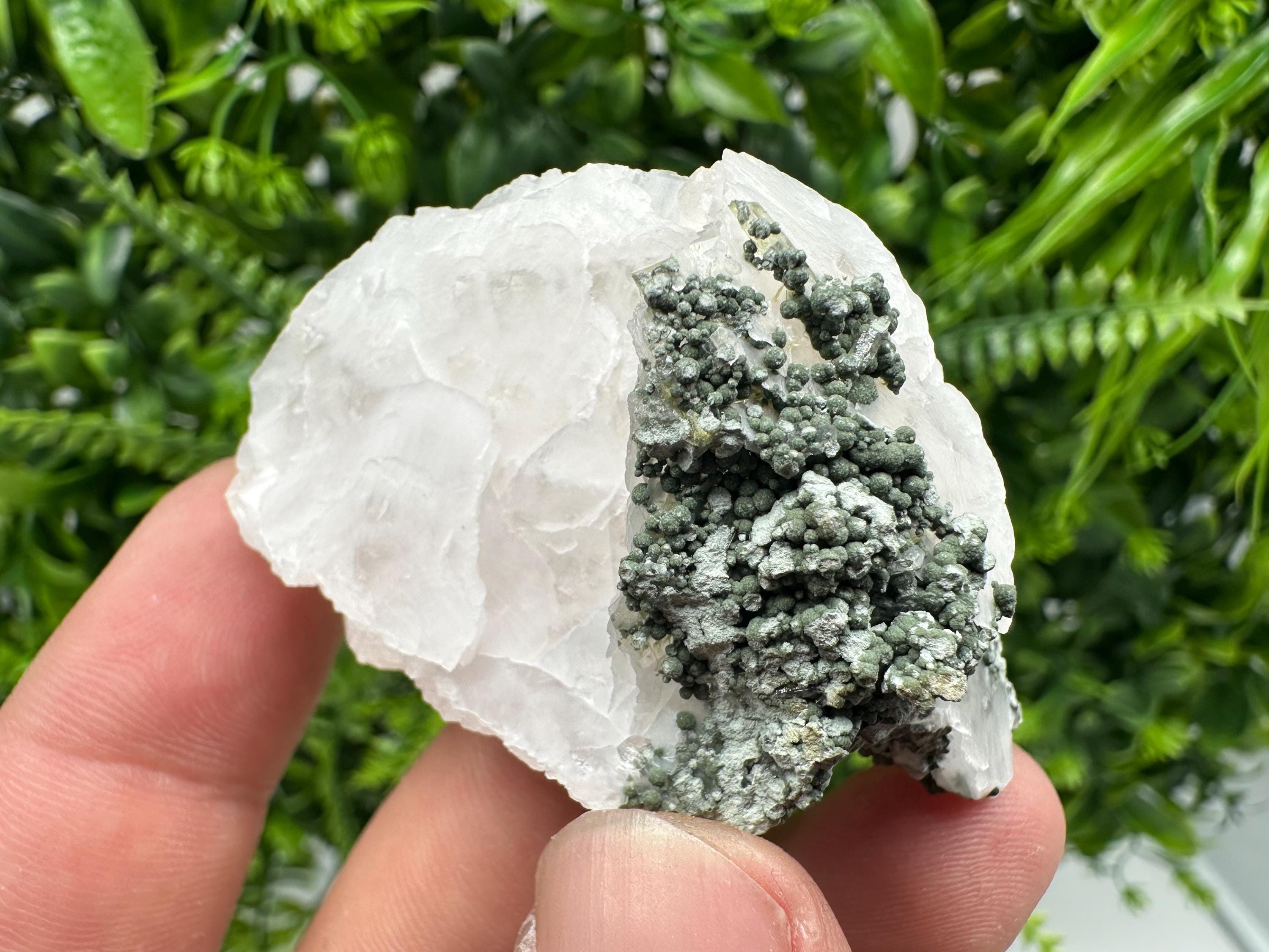 Calcite on Green Quartz: Djurcovo Mine, Bulgaria Crystal